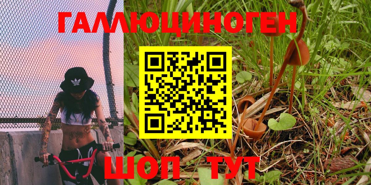 Галлюциногенные грибы Psilocybe  Вход с VPN  Галлюциногенные грибы мухоморы  Павловский Посад 