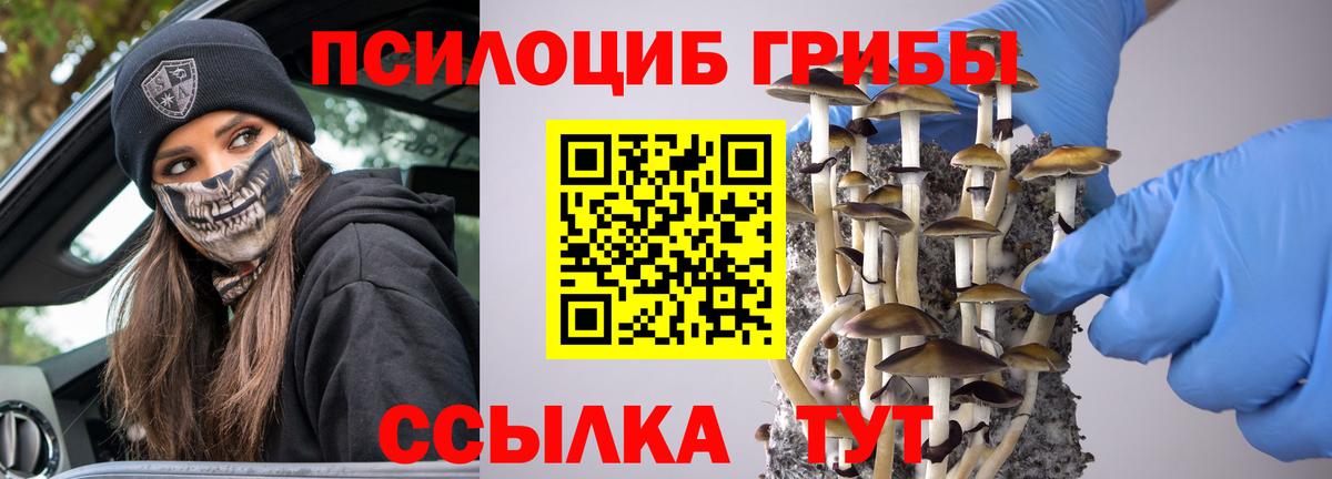 Псилоцибиновые грибы Magic Shrooms Павловский Посад